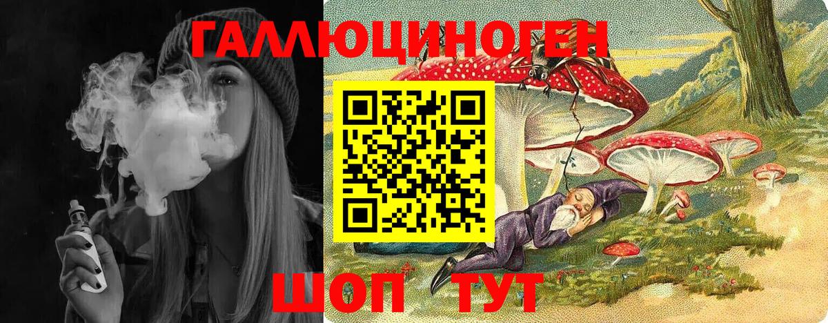 Галлюциногенные грибы Psilocybe  Вход с VPN  Выкса 